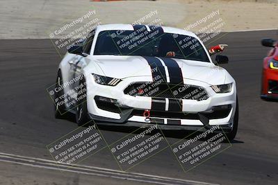 media/Aug-25-2024-Speed Ventures (Sun) [[8c15657448]]/Green Group/Session 2 (Turn 5)/